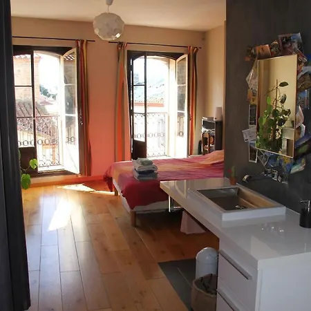 Charming Duplex With 2 Terraces Perpignan